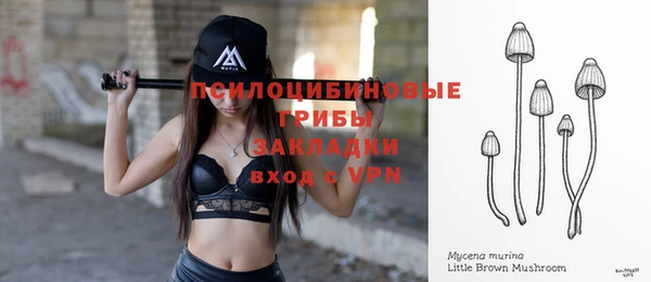 мяу мяу кристалл Покачи