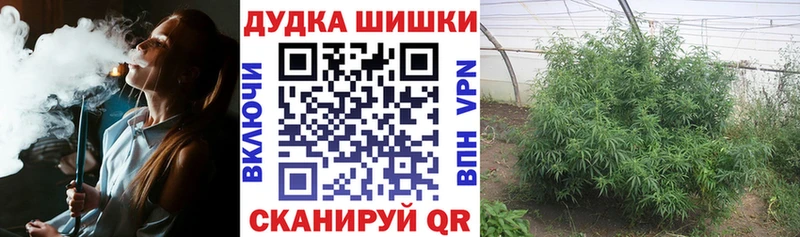 даркнет сайт  Себеж  OMG как зайти  МАРИХУАНА конопля 